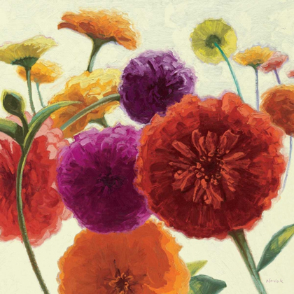 Picture of PURE PALETTE ZINNIAS