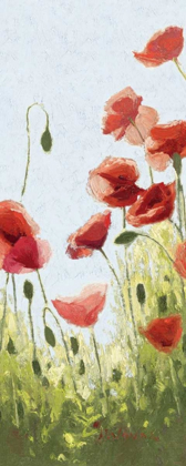 Picture of MOUNTAIN POPPIES II - WAG