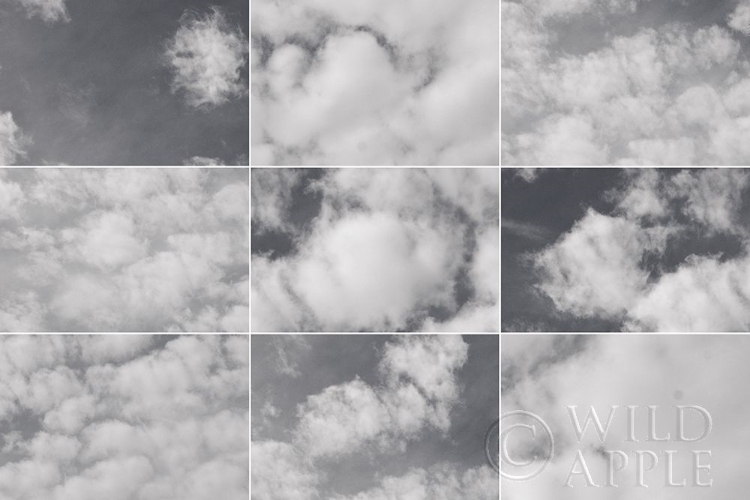 Picture of IN THE CLOUDS COLLAGE