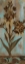 Picture of MONSOON FLORALS II