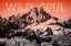 Picture of OMBRE ADVENTURE II WILD SOUL
