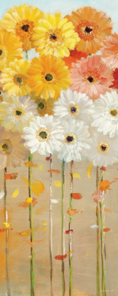 Picture of DAISIES FALL I
