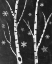 Picture of SNOWY BIRCHES IV
