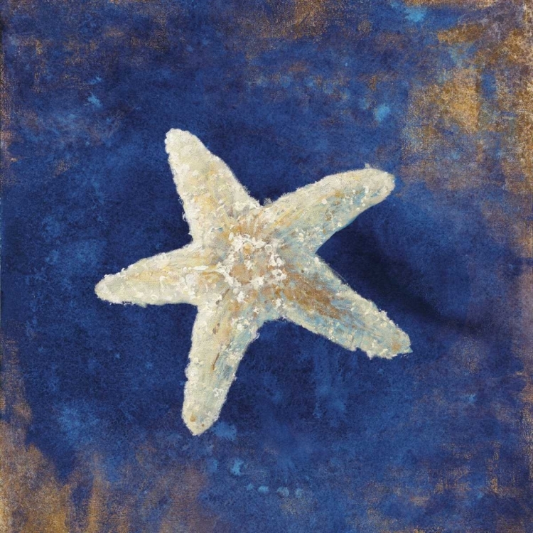 Picture of TREASURES OF THE SEA INDIGO IV