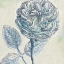 Picture of BELLE FLEUR III
