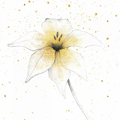 Picture of GILDED GRAPHITE FLORAL V