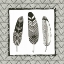 Picture of GEO FEATHERS I 