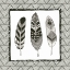 Picture of GEO FEATHERS IV 