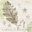Picture of NATURAL HISTORY OAK III