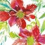 Picture of POINSETTIA PRETTY I