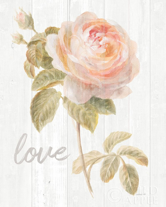 Picture of GARDEN ROSE ON WOOD LOVE