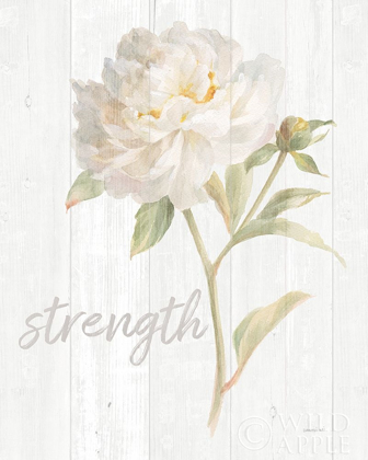 Picture of GARDEN PEONY ON WOOD STRENGTH