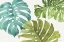 Picture of MIXED GREENS LXX