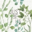 Picture of MIXED GREENS LXV