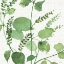 Picture of MIXED GREENS LIII