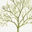 Picture of MIXED GREENS XXII