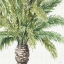 Picture of MIXED GREENS III