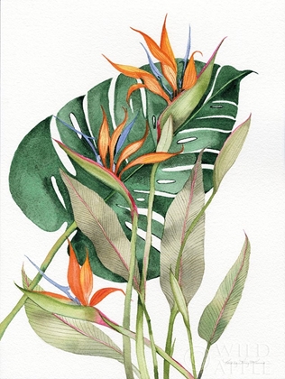 Picture of BOTANICAL BIRDS OF PARADISE