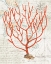 Picture of TEXTURED CORAL I