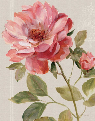 Picture of HARMONIOUS ROSE LINEN