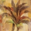 Picture of ISLAND BREEZE II