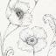 Picture of BLOSSOM SKETCHES I
