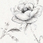 Picture of BLOSSOM SKETCHES II