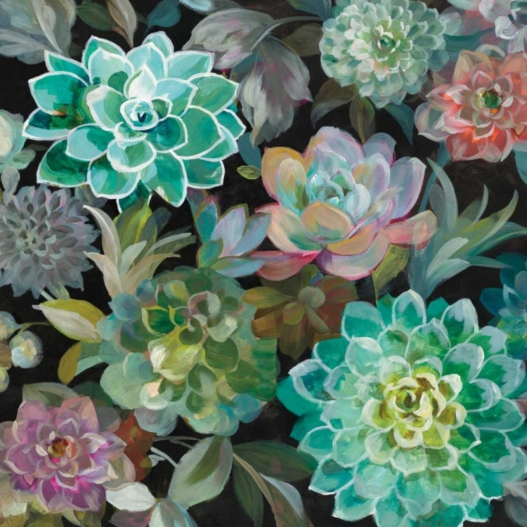 Picture of FLORAL SUCCULENTS V2 CROP