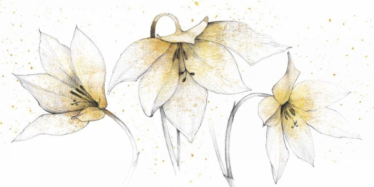 Picture of GILDED GRAPHITE FLORAL TRIO