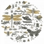 Picture of INSECT CIRCLE I