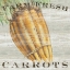 Picture of FARM FRESH CARROTS