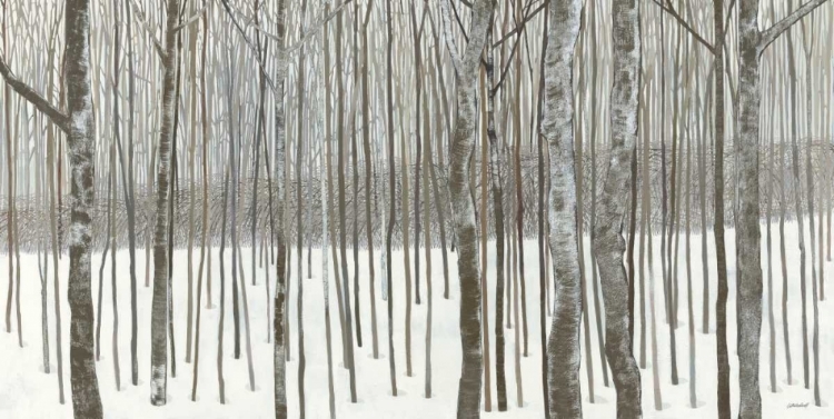Picture of WOODS IN WINTER 