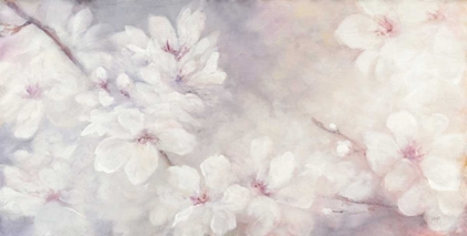 Picture of CHERRY BLOSSOMS