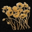 Picture of GOLD BLACK LINE POPPIES I V2