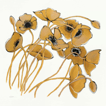 Picture of GOLD BLACK LINE POPPIES II