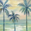 Picture of MARINE LAYER PALMS CROP