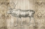 Picture of NATURAL HISTORY LODGE IX