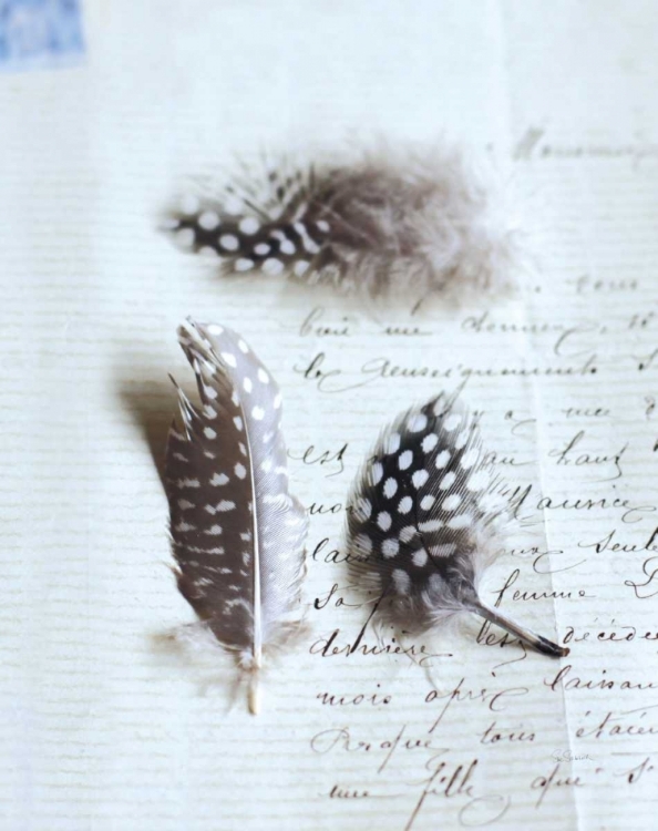 Picture of PLUME LETTERS VI