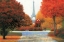 Picture of AUTUMN IN PARIS COUPLE 
