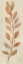 Picture of SHIMMERING V NEUTRAL