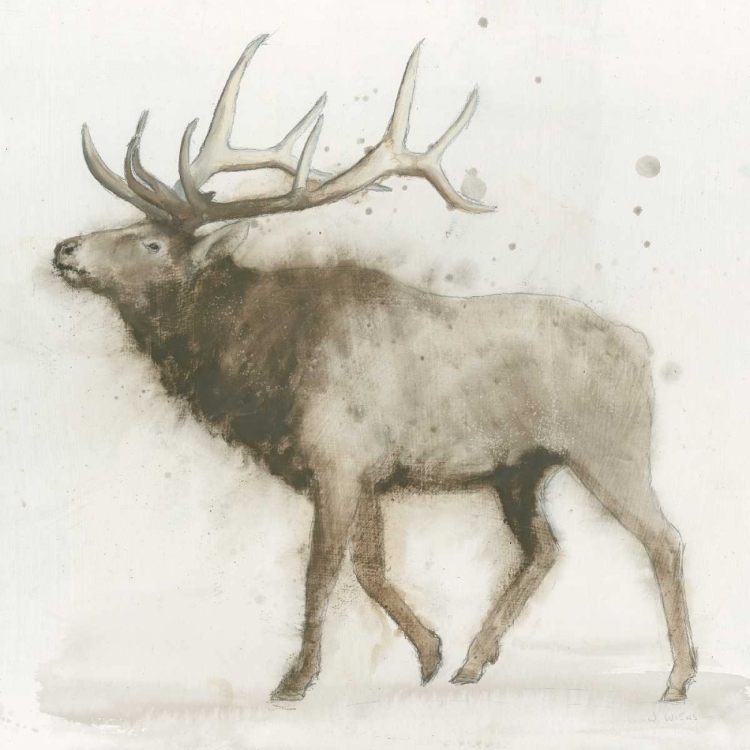 Picture of ELK V.2 