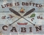 Picture of CABIN FEVER I