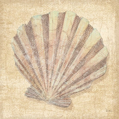 Picture of TROPICAL ISLAND SHELL II