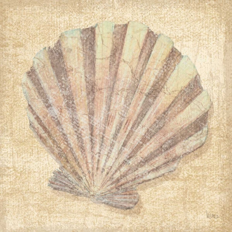 Picture of TROPICAL ISLAND SHELL II