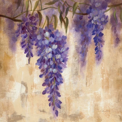 Picture of WISTERIA BLOOM II
