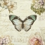 Picture of MARCHE DE FLEURS BUTTERFLY II