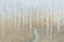Picture of SILVER WATERS CROP