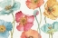 Picture of SPRING SOFTIES I