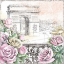 Picture of PARIS ROSES V