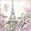 Picture of PARIS ROSES VI